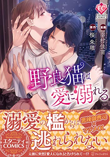 野良猫は愛に溺れる