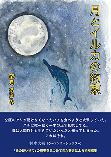 月とイルカの約束