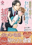 経理部の岩田さん、セレブ御曹司に捕獲される