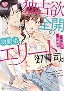 独占欲全開の幼馴染は、エリート御曹司。
