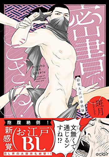 密書でござる!-隠密大江戸春情録ー