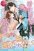 婚約破棄してきた強引御曹司になぜか溺愛されてます