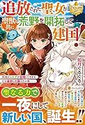 追放された聖女が聖獣と共に荒野を開拓して建国! 各国から王子が訪問してきます。なお追放した国はその後……