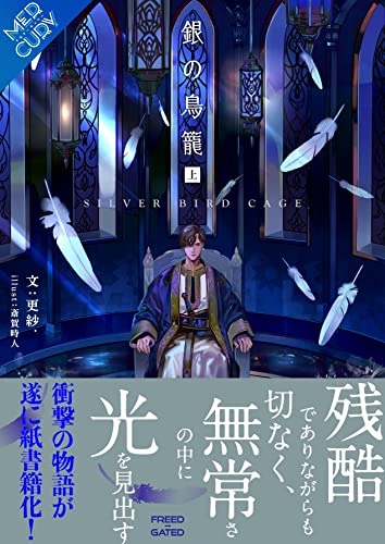 銀の鳥籠(上巻)