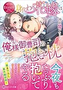 身代わり花嫁は俺様御曹司の抱き枕