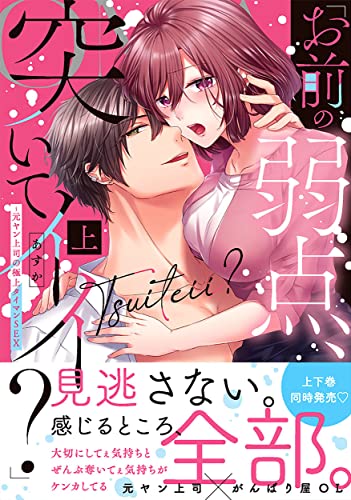 「お前の弱点、突いてイイ?」〜元ヤン上司の極上タイマンSEXの表紙