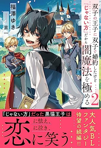 双子の王子に双子で婚約したけど「じゃない方」だから闇魔法を極める(2)