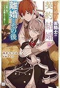 宰相補佐と黒騎士の契約結婚と離婚とその後 〜辺境の地で二人は夫婦をやり直す〜