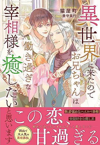 異世界に来たのでお兄ちゃんは働き過ぎな宰相様を癒したいと思います