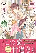 異世界に来たのでお兄ちゃんは働き過ぎな宰相様を癒したいと思います
