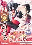 捨てられた花嫁はエリート御曹司の執愛に囚われる