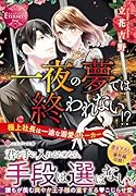 一夜の夢では終われない!? 極上社長は一途な溺愛ストーカー