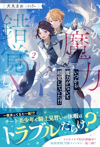 いつから魔力がないと錯覚していた!?(2)