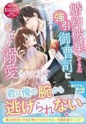 婚約破棄してきた強引御曹司になぜか溺愛されてます