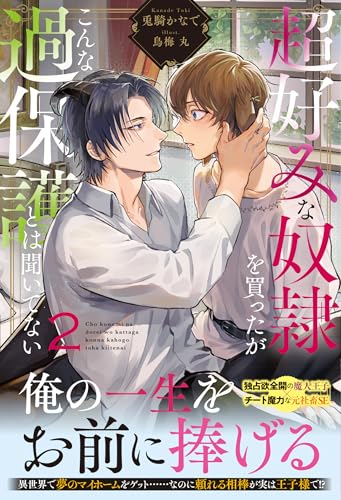 超好みな奴隷を買ったがこんな過保護とは聞いてない(2)