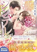 カリスマ社長の溺愛シンデレラ 平凡な私が玉の輿に乗った話
