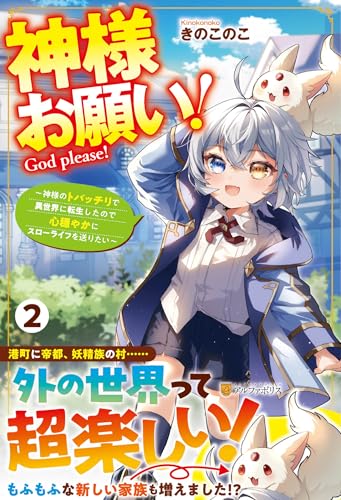 神様お願い!(2) 〜神様のトバッチリで異世界に転生したので心穏やかにスローライフを送りたい〜