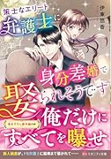 策士なエリート弁護士に身分差婚で娶られそうです