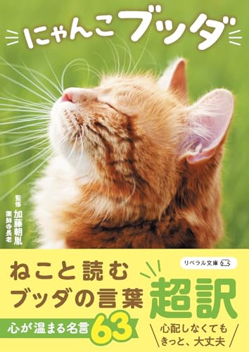 にゃんこブッダ