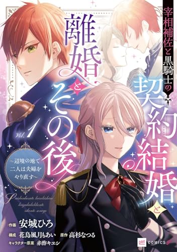 宰相補佐と黒騎士の契約結婚と離婚とその後 ～辺境の地で二人は夫婦をやり直す～（1）