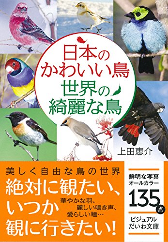 日本のかわいい鳥世界の綺麗な鳥