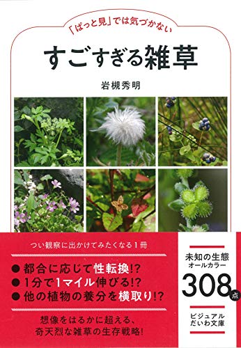 すごすぎる雑草 「ぱっと見」では気づかない