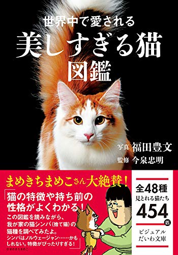 世界中で愛される美しすぎる猫図鑑