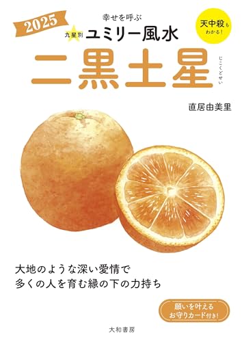 九星別ユミリー風水2025二黒土星