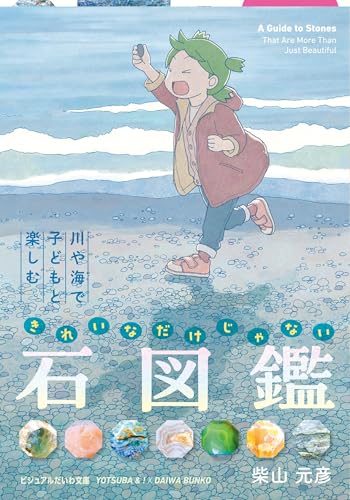 きれいなだけじゃない石図鑑 川や海で子どもと楽しむ