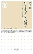 ロマネスクとは何か 石とぶどうの精神史