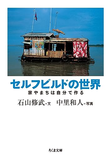 セルフビルドの世界