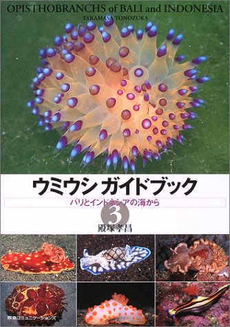 一気にわかる！池上彰の世界情勢２０１８ 国際紛争、一触即発編