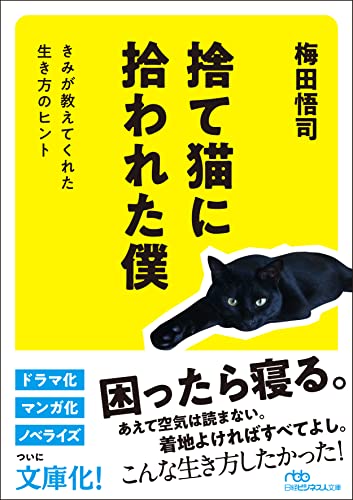 捨て猫に拾われた僕 きみが教えてくれた生き方のヒント
