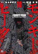 モンキーピーク (10)