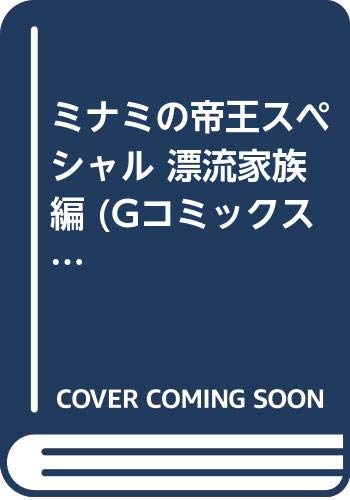 ミナミの帝王スペシャル(漂流家族編)