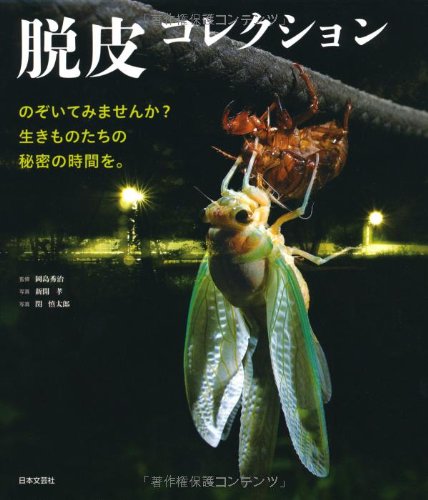 一気にわかる！池上彰の世界情勢２０１８ 国際紛争、一触即発編