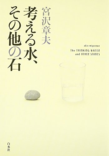 宮沢章夫『考える水、その他の石』表紙