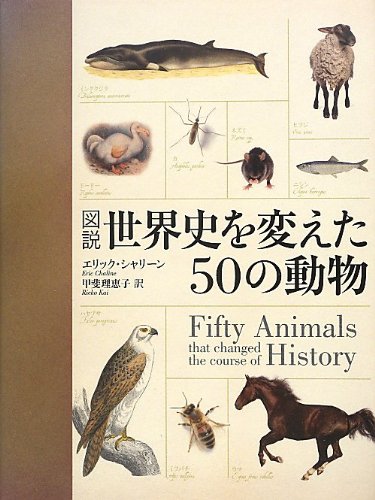 一気にわかる！池上彰の世界情勢２０１８ 国際紛争、一触即発編
