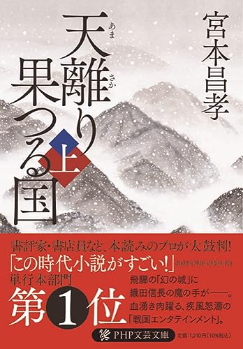 天離り果つる国(上)