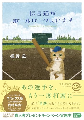 伝言猫がボールパークにいます