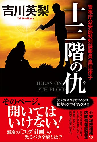 十三階の仇