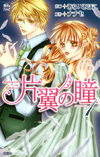 片翼の瞳(1)
