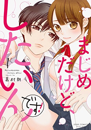 まじめだけど、したいんです！の表紙