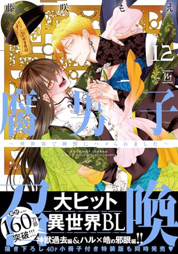 腐男子召喚～異世界で神獣にハメられました～（12）