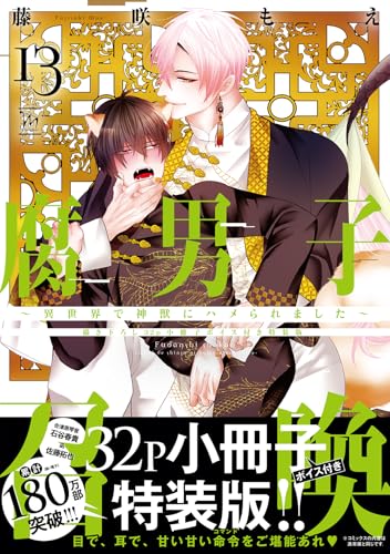 腐男子召喚～異世界で神獣にハメられました～（13）【描き下ろし32p小冊子ボイス付き特装版】