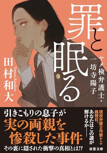 罪と眠る ヤメ検弁護士・一坊寺陽子
