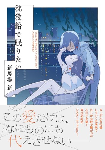 沈没船で眠りたい