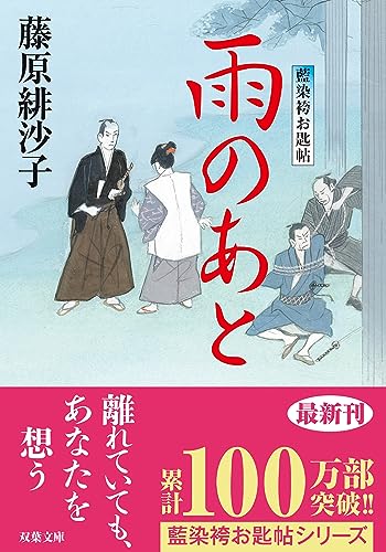 藍染袴お匙帖(14) 雨のあと