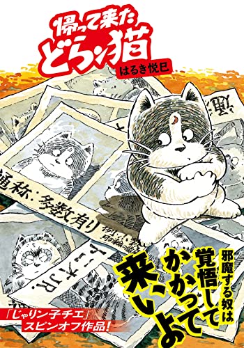帰って来たどらン猫