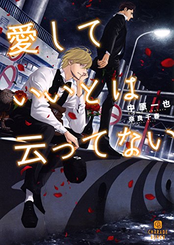 愛していいとは云ってない